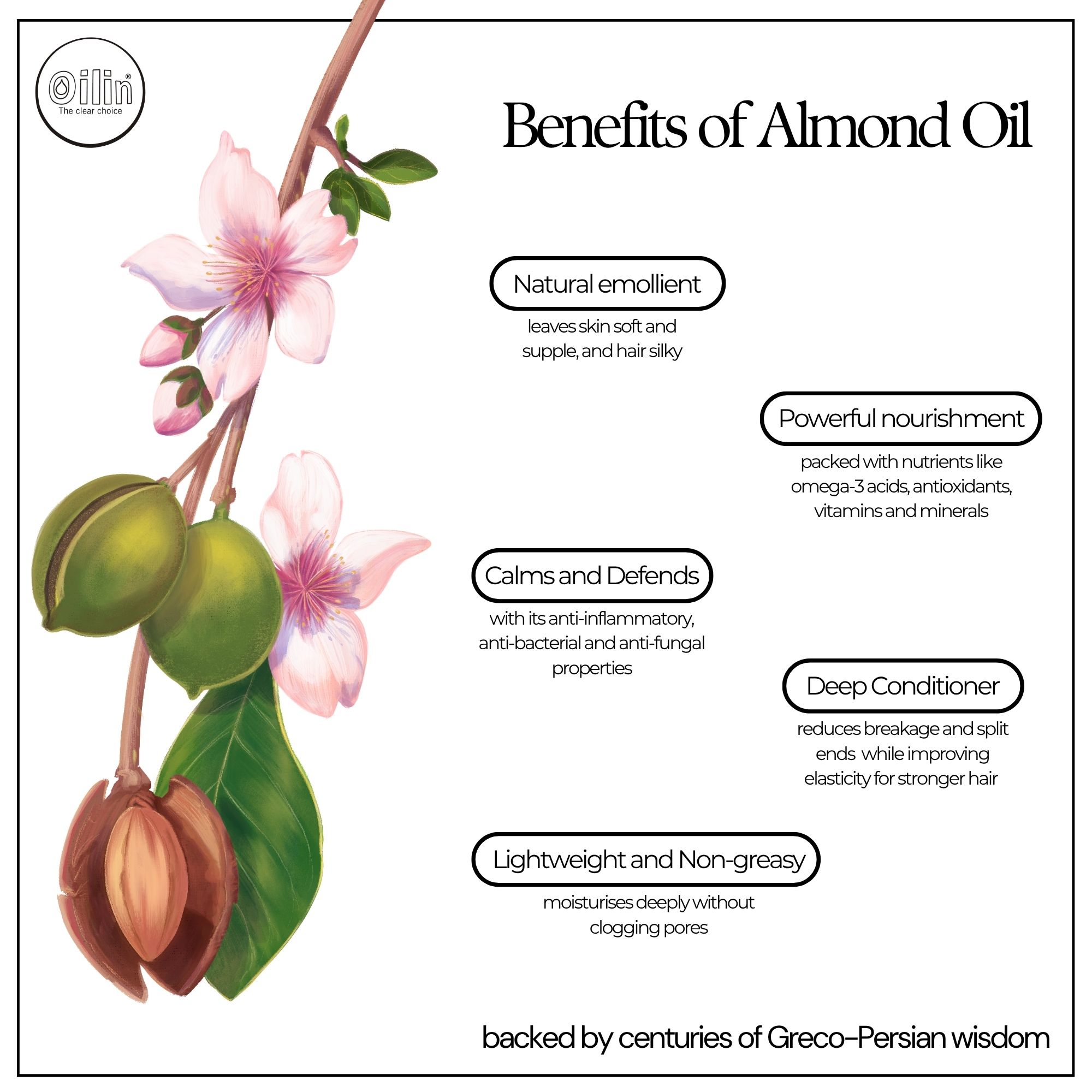 almond.jpg