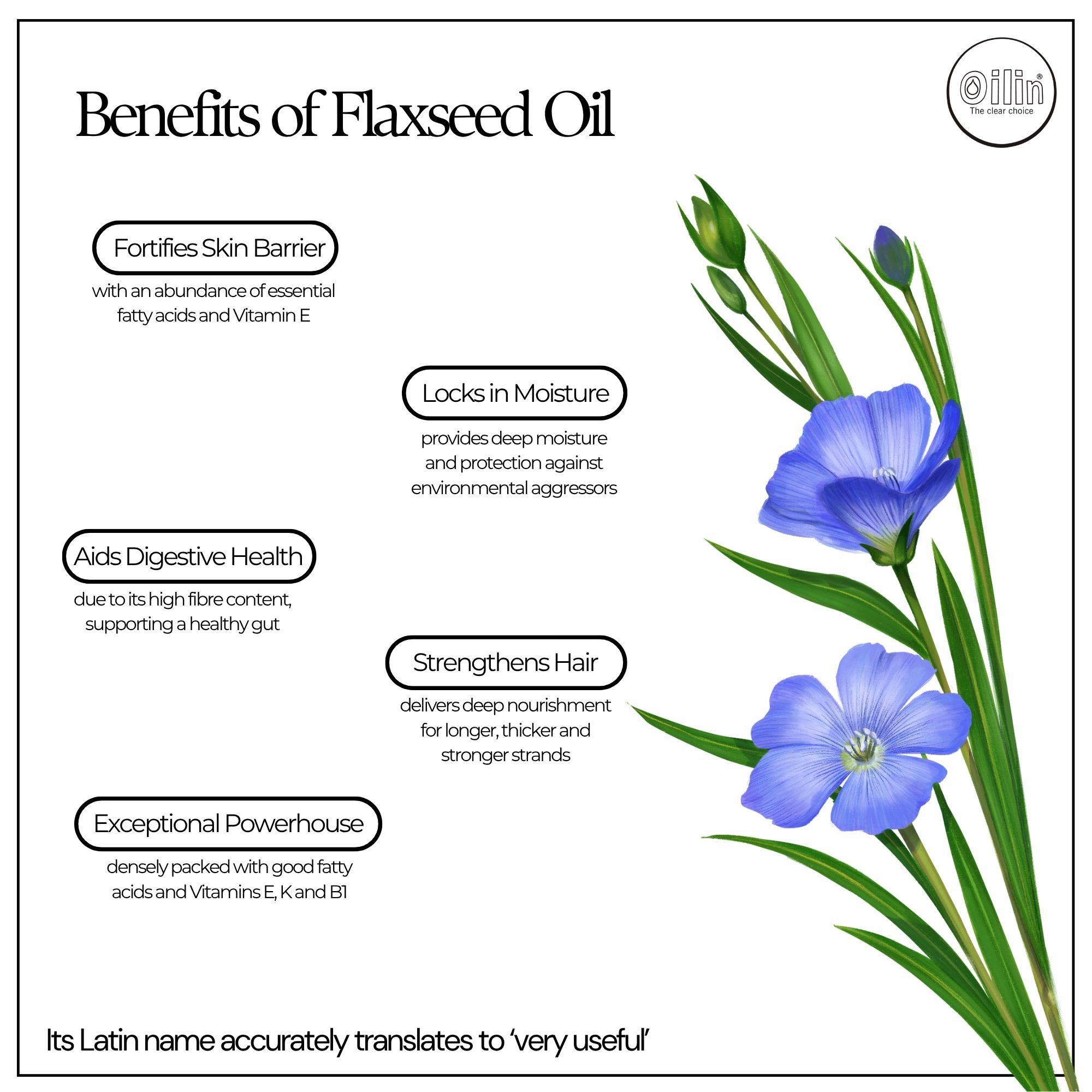flax seed.jpg