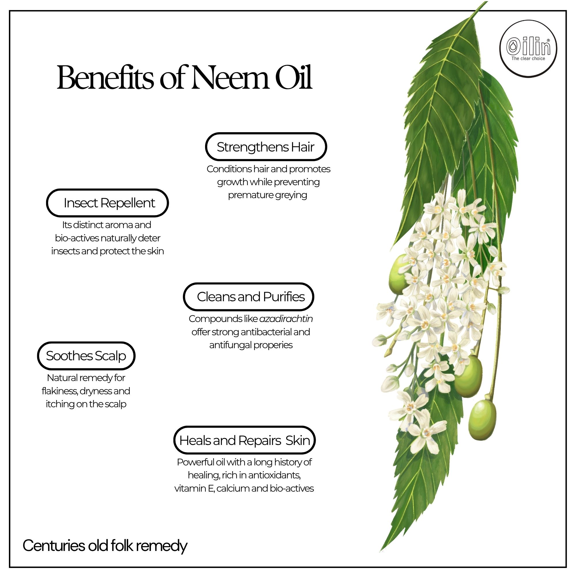 neem.jpg